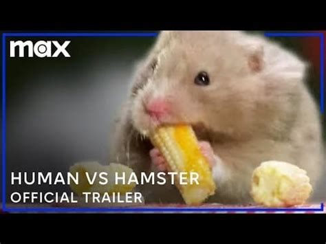 x hamster stories|Perverted Stories 5